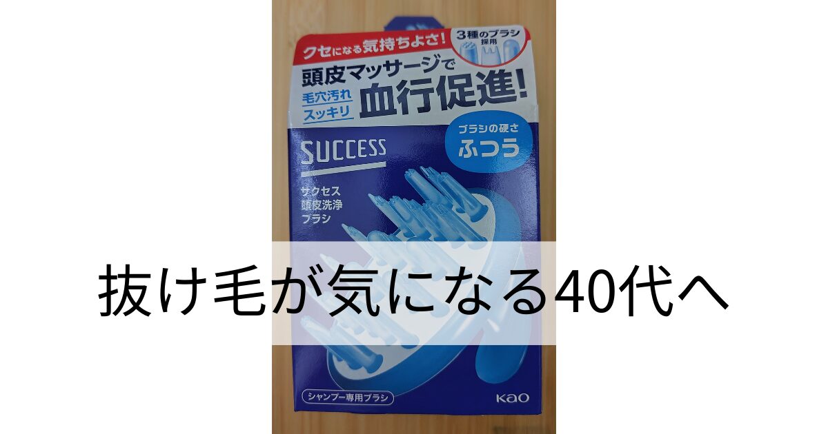 サクセスの頭皮洗浄ブラシのパッケージ。頭皮マッサージで毛穴汚れを落とし、血行促進をうたうシャンプー専用ブラシ。